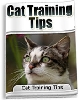 Thumbnail Cat Training Tips Thumbnail Cat Training Tips