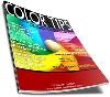 Thumbnail Color and Online Sales Thumbnail Color and Online Sales