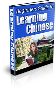 Product picture Beginners Guide To Learning Chinese