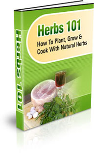 Product picture Herbs 101