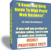 Product picture A Down and Dirty Guide to High Profit Web Business