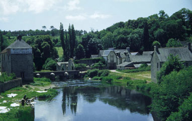 Product picture How To Create A Garden Pond