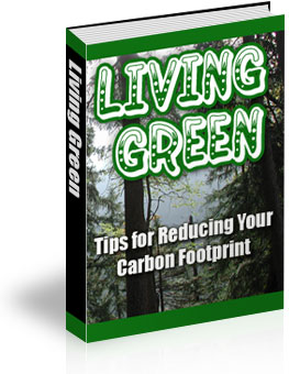 Product picture Living Green: Tips for Reducing your Carbon Footprint