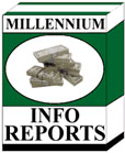 Product picture Millennium Info Reports