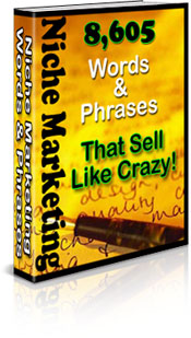 Product picture Niche Marketing Words And Phrases That Sell Like Crazy!