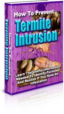 Product picture How To Prevent Termite Intrusion