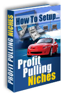 Product picture How To Setup Profit Pulling Niches