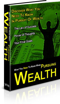 Product picture The Secrets Of Pursuing Wealth