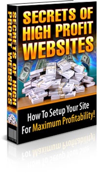 Product picture The Secrets to High Profit Websites