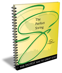 Product picture The Perfect Swing
