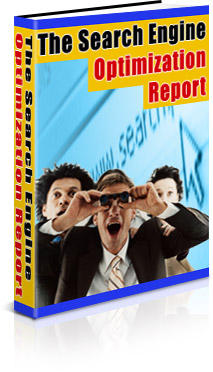 Product picture The Search Engine Optimization Report
