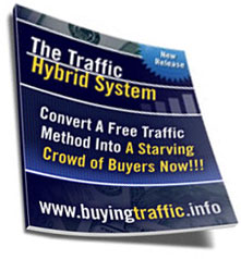 Product picture The Traffic Hybrid System