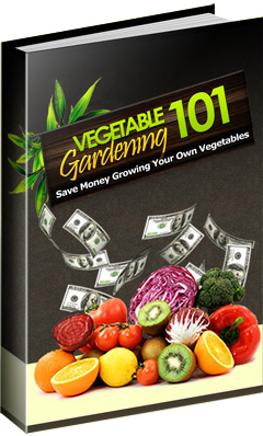 Product picture Vegetable Garden 101