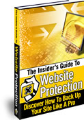 Product picture The Insider‘s Guide To Website Protection