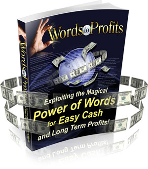 Product picture Words to Profits