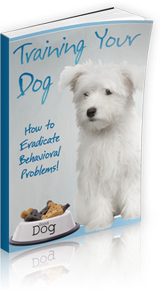 Product picture Training Your Dog