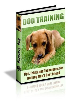 Product picture 90 Dog Training Tips