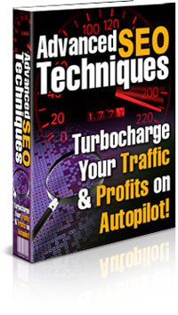 Product picture Advanced SEO Techniques: Turbocharge Your Traffic & Profits on Autopilot!