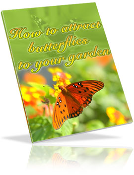 Product picture How to Attract Butterflies to Your Garden