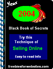 Product picture The 2004 Black Book of Secrets