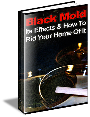 Product picture Black Mold