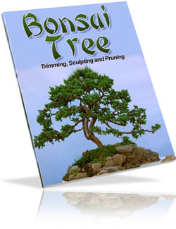 Product picture Bonsai Trees: Growing Trimming Pruning and Sculpting