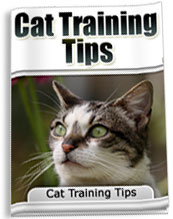 Product picture Cat Training Tips