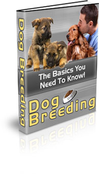 Product picture Dog Breeding - What You Need To Know!