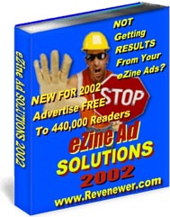 Product picture eZine Ad Solutions 2002